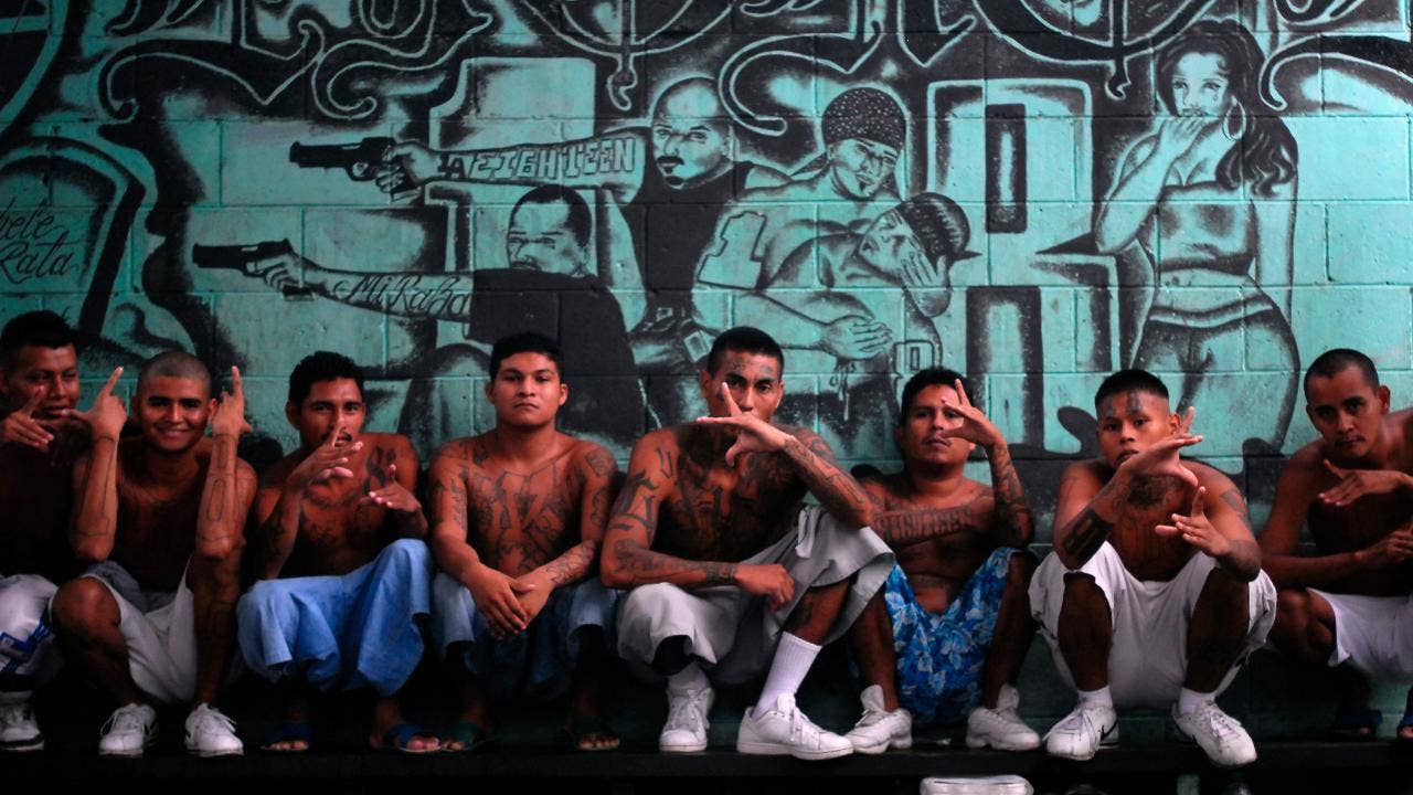 Domination phone sex mistresses Asian and latino gang rivalry